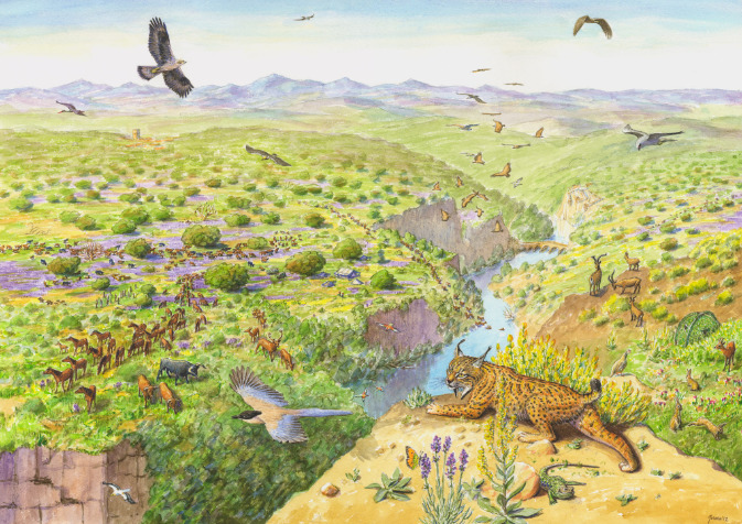 Rewilding Portugal