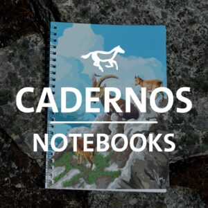 Cadernos / Notebooks