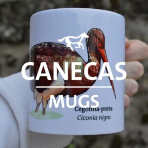 Canecas / Mugs