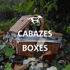 Cabazes / Baskets