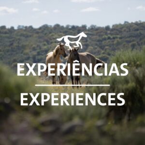 Experiências / Experiences