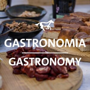Gastronomia / Gastronomy