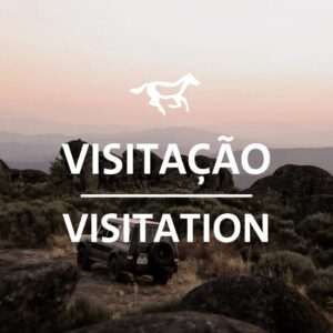 Visitação / Visitation