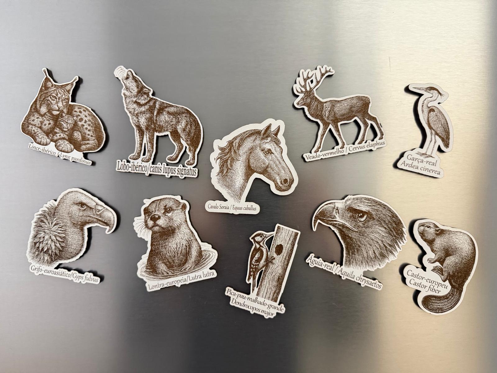 WhatsApp Image 2025-12-30 at 11.43.18