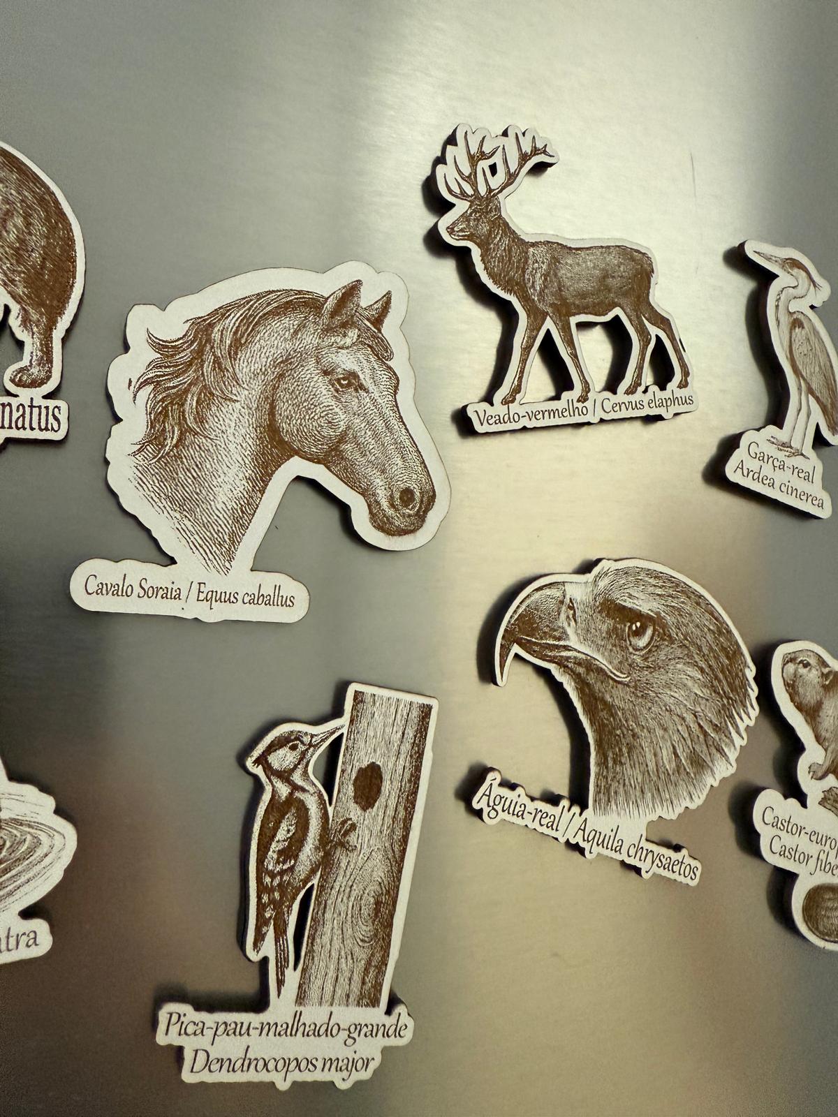 WhatsApp Image 2025-12-30 at 11.43.20