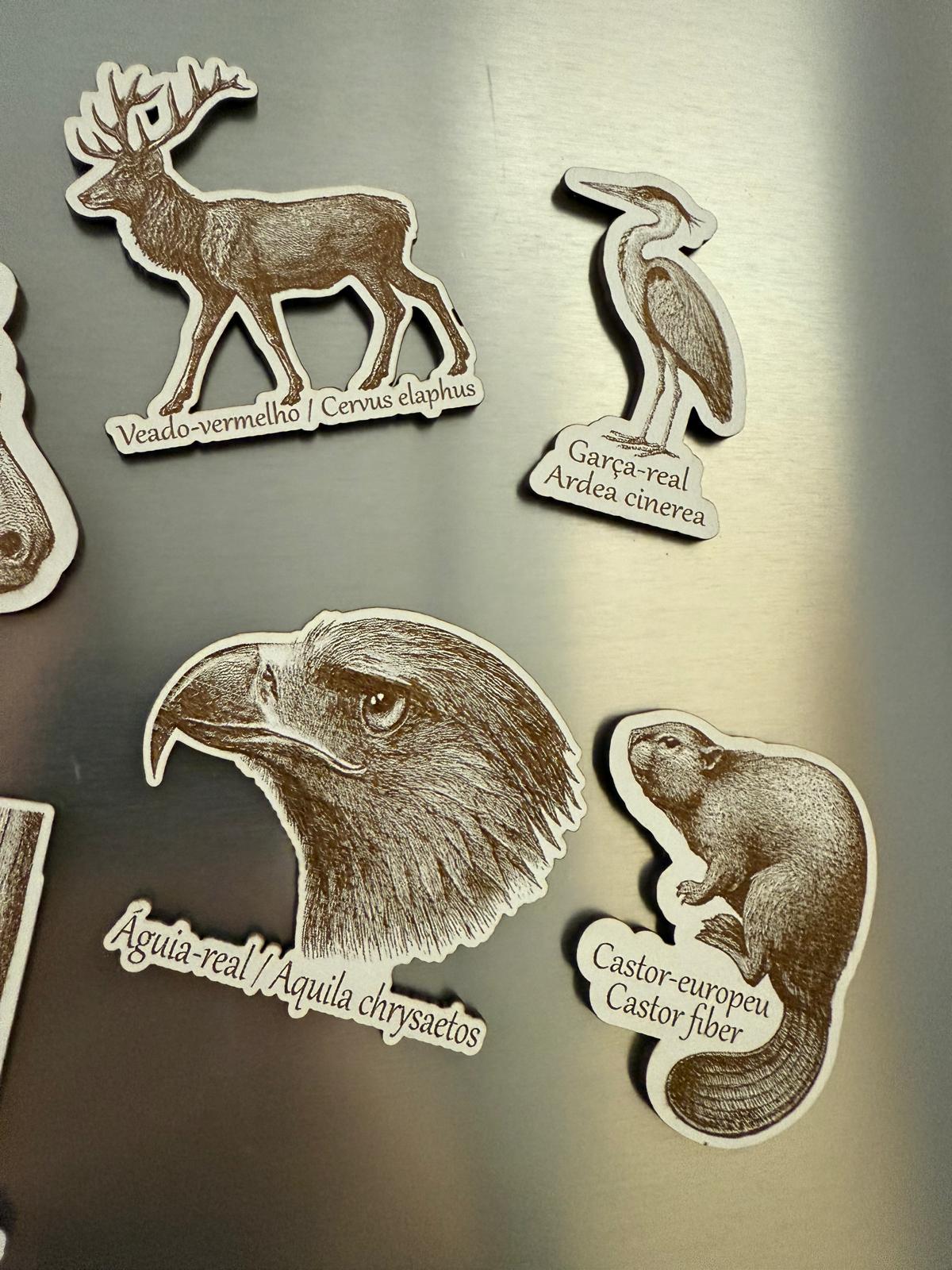 WhatsApp Image 2025-12-30 at 11.43.201