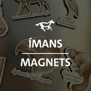 Ímanes / Magnets