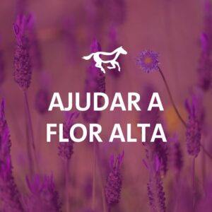 Ajudar a Flor Alta