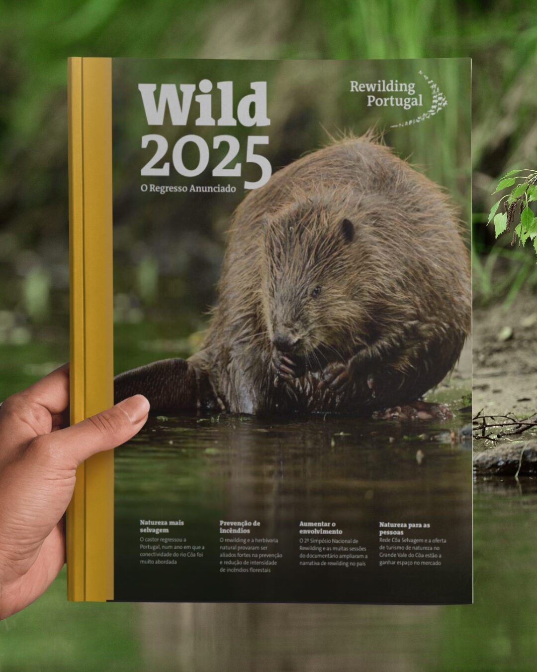 Design sem nome - 2026-03-09T175856.254