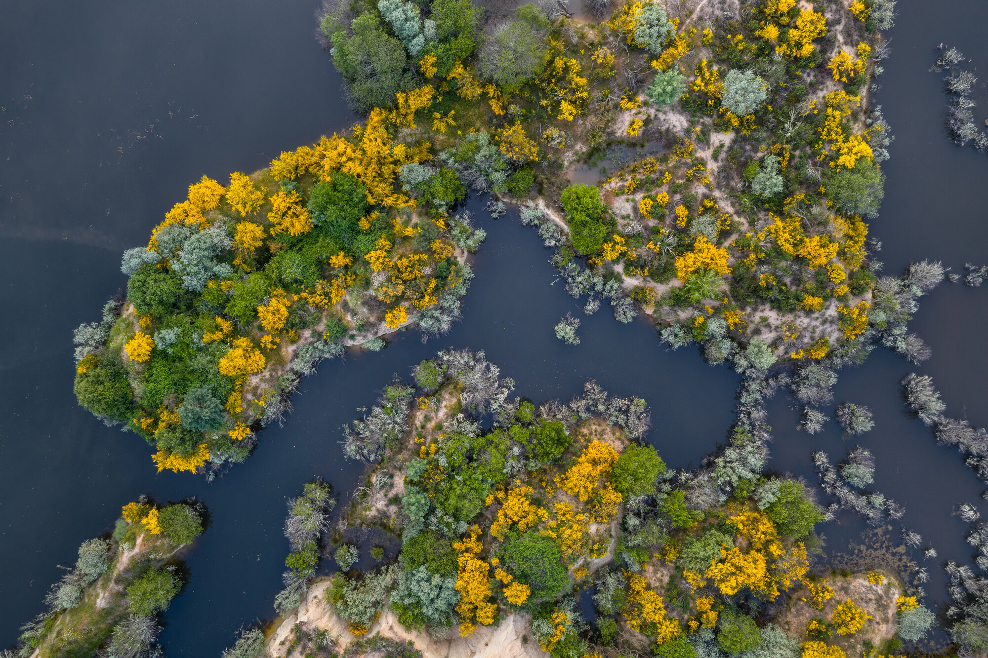Paul de Toirões wetland in the Greater Côa Valley